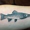 Image result for Brook Trout Art