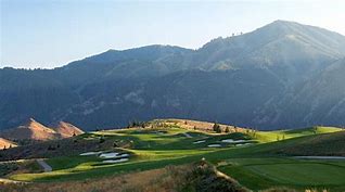 Image result for Man Golfing Sun Valley