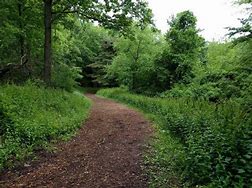 Image result for Long Path