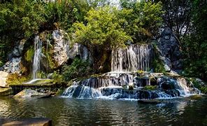 Image result for Forest River Waterfalls