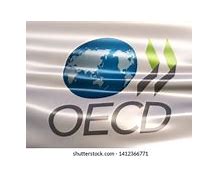 Image result for OECD Flag