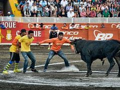 Image result for Costa Rican Sports