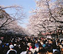 Image result for Explore Ueno Park