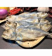 Image result for Ikan Termenung