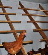 Image result for Chicken Perches for Coops