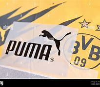 Image result for Puma Funny Logo