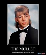 Image result for Mullet Memed