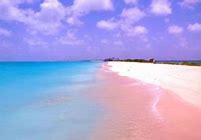 Image result for Pink Sand Beaches in Bahamas