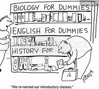 Image result for Cartoon Dummies