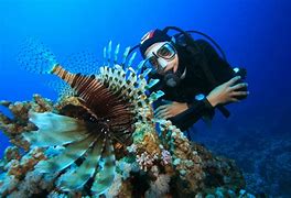 Image result for Biologist Marine Biology