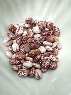 Image result for Ethiopian Castor Seeds