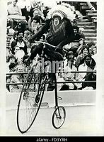 Image result for Chimps Riding Bicycles