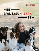 Image result for Dog and Human Quotes