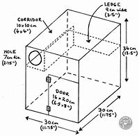 Image result for Owl Nest Box Plans