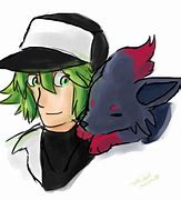 Image result for pokemon n and zorua