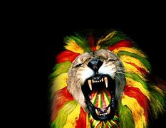 Image result for Rasta Lion with Crown Wallpaper