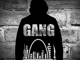 Image result for St. Louis Gangs Wikp