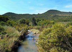 Image result for Faerie Glen Nature Reserve