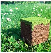 Image result for Realistic Minecraft Grass Block