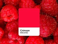 Image result for Crimson Oozy