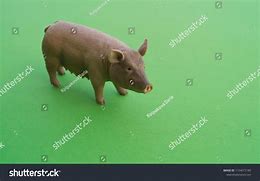 Image result for Plastic Pig Toy