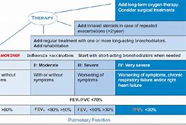 Image result for Best Treatment for COPD Illustration