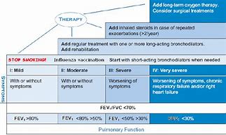 Image result for COPD Regimen