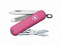 Image result for Victronix Knife Set Pink