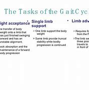 Image result for Normal Gait Cycle