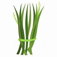 Image result for Chives Shaker PNG