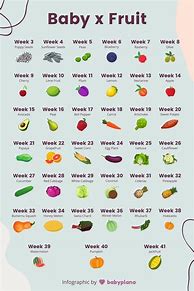 Image result for Pregnancy Baby Size Chart