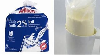 Image result for Bagged Milk Container