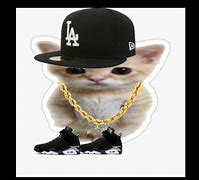 Image result for Gato Com Drip