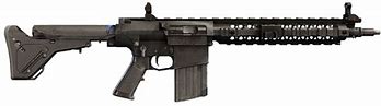 Image result for SR-25 Rainbow Six Siege