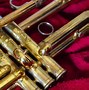 Image result for D On Trumpet