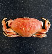 Image result for Whole Dungeness Crab