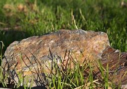 Image result for Stone Steos in Grass