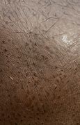 Image result for Hippo Skin Print