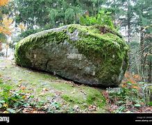 Image result for Moss-Covered Skeleton