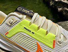 Image result for Nike Zoom Pegasus 40