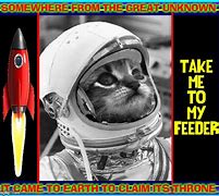 Image result for Outer Space Cat Meme