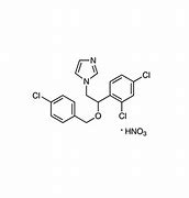 Image result for Nitrate D Econazole