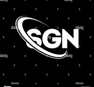 Image result for SGN Logo Dark