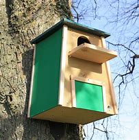 Image result for Barn Owl Nest Box for Tree