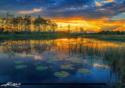 Image result for River Sunset