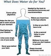 Image result for Hydrated Mind Your Business Meme