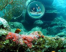 Image result for Curacao Aquarium