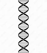 Image result for Double Helix Bond