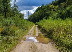 Image result for Dirty Road Salt