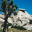 Image result for Mojave Desert Dry Farming